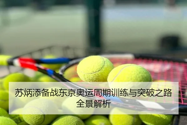 苏炳添备战东京奥运周期训练与突破之路全景解析